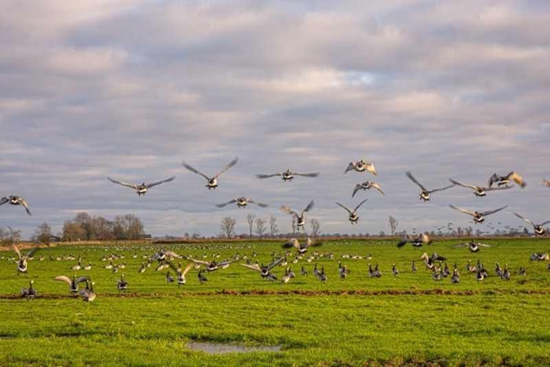 Wiemannshof 25191 Bunde  ภายนอก รูปภาพ